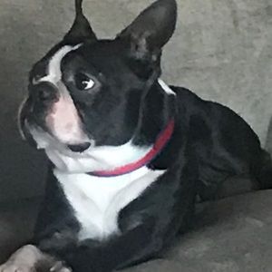 Meet your Posher, Amber